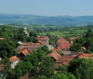 ???????????????????????????????